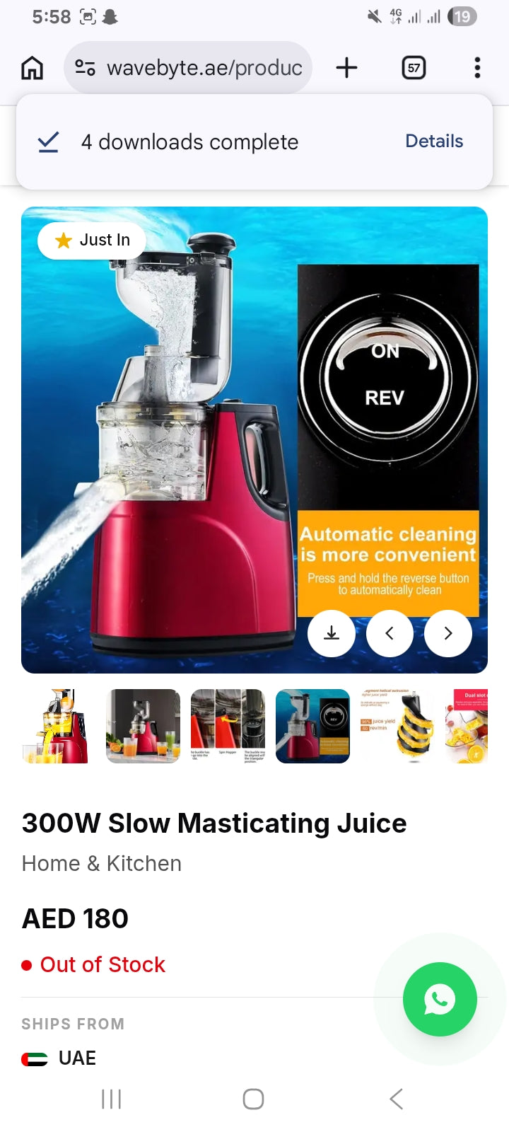 300W Slow Masticating Juice